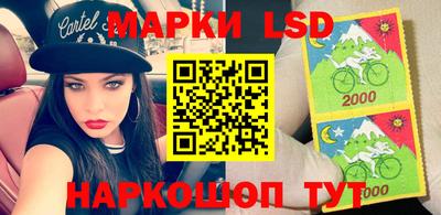 стаф Краснодар