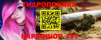 стаф Краснодар