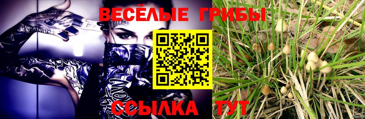 Псилоцибиновые грибы ЛСД  Вход с VPN  Ипатово 
